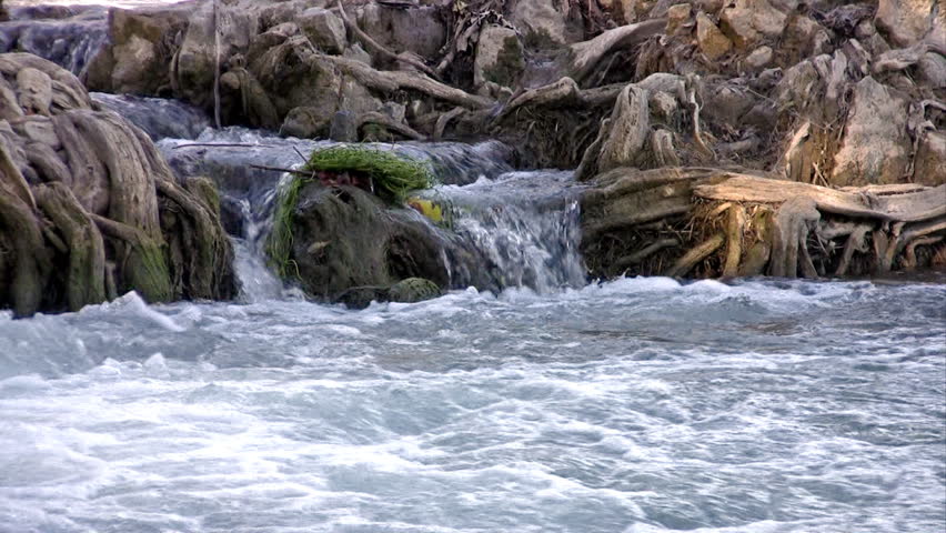 Video of a Texas river with Cypress trees and rolling rapids in a Texas recreation area. Rapids with rough water. Scenic landscape. 