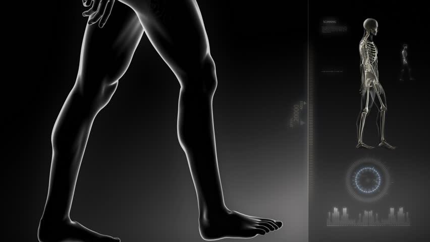 Walking man with knee scan interface in loop