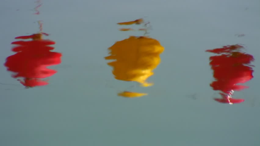 Chinese lanterns reflect in a pond 