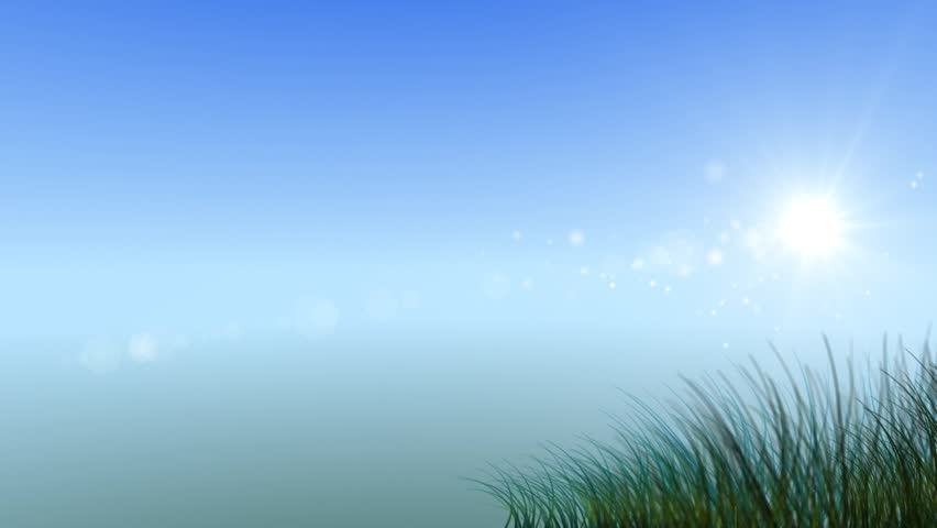 growing grass and flowers on clear sky background