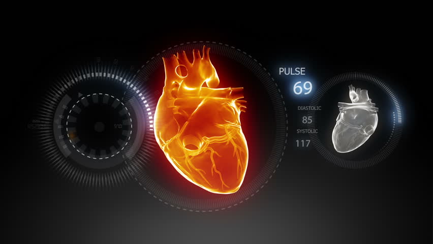Human heart with pulse trace