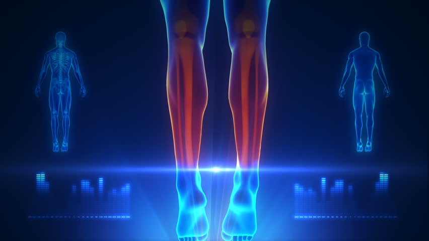 Full body scan blue projection
