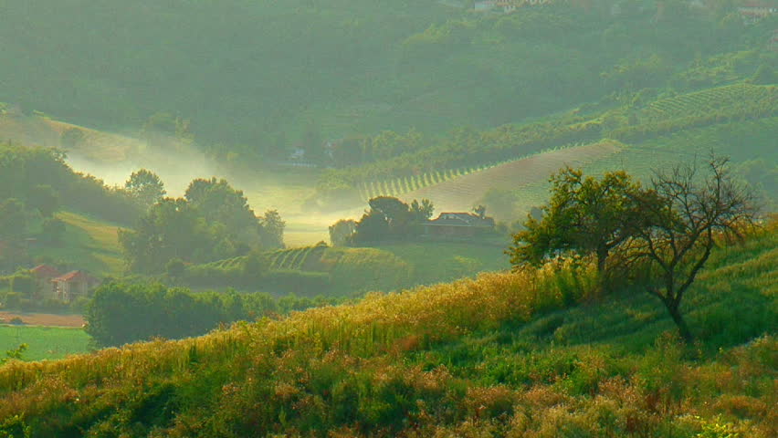 Panorama vigna