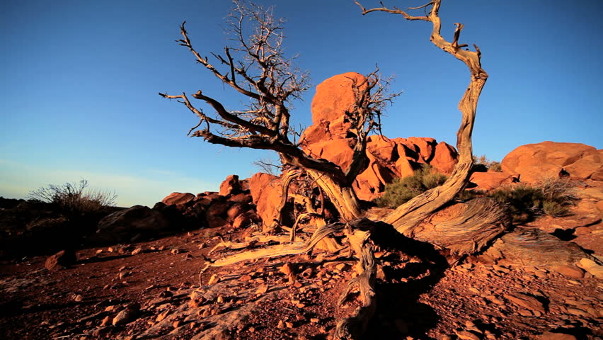 Red sandstone rock formations sculptured by nature in an arid  desert environment 