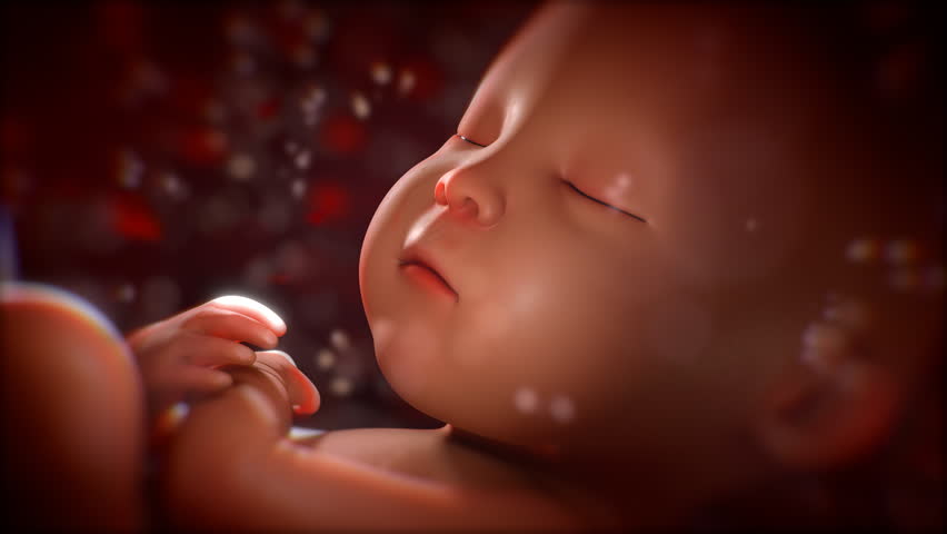 Human baby in mother's womb