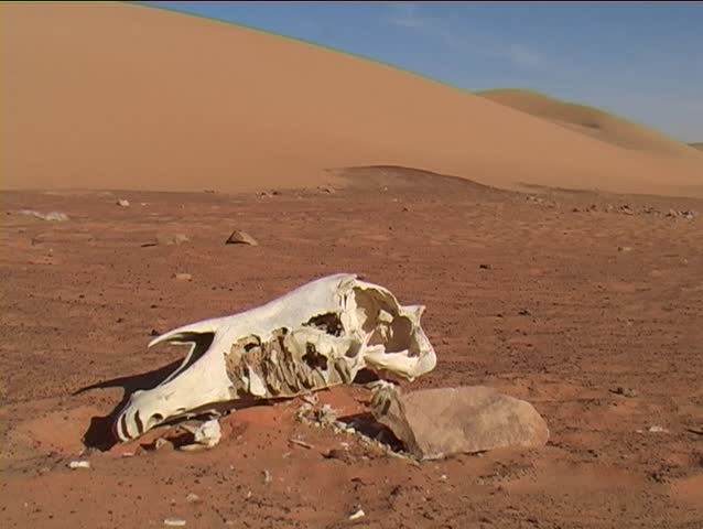 3-shots of the Sahara desert of northeast Mauritania.