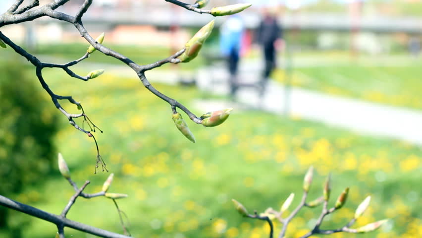 People walking on a path. Shallow DOF.