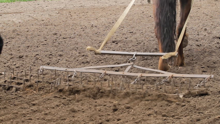 Farmers  Prepare For Spring Planting Using Horse Drawn Plow 
