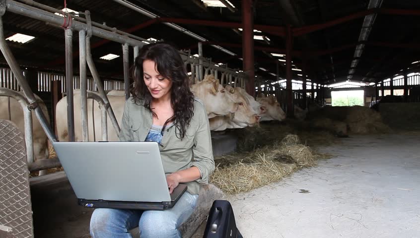 Veterinarian in barn with laptop computer