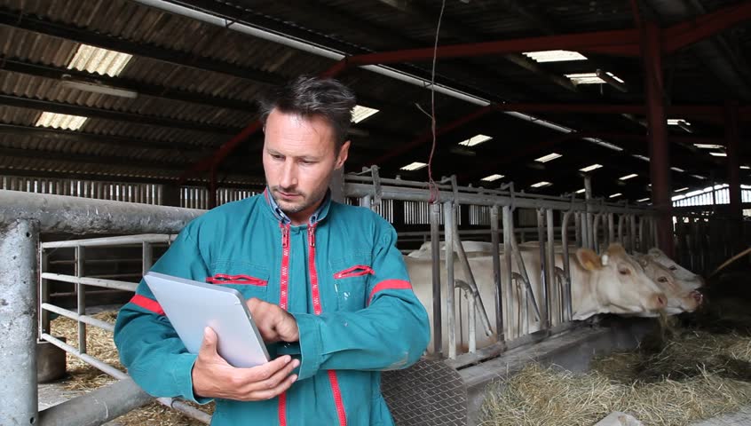 Farmer in barn using electronic tablet