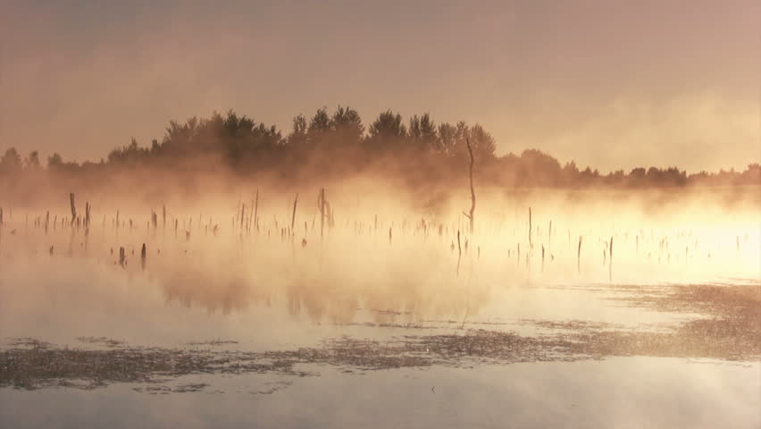 Misty morning sunrise on the marsh 
