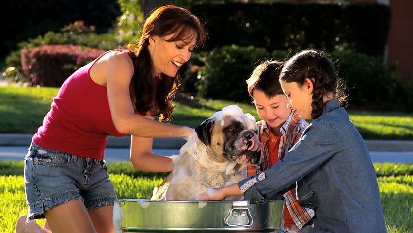 Young mom & her children bathing the family bulldog  in the garden