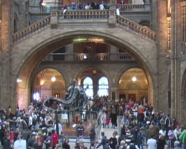 Londons  dinosaur museum