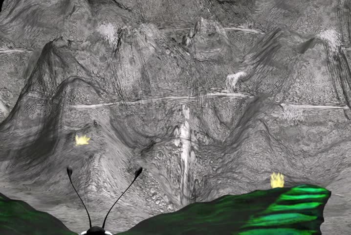 flying butterfly and cold mountains