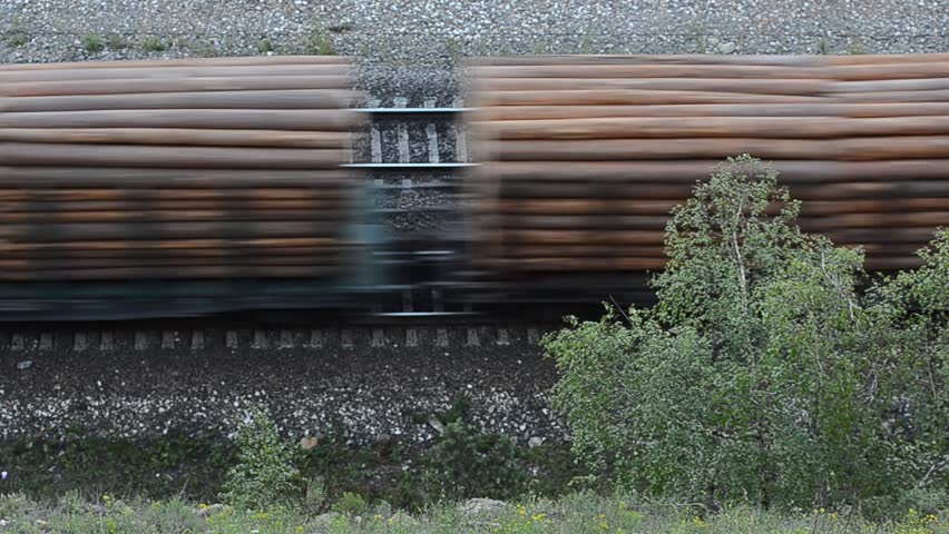 Cargo train