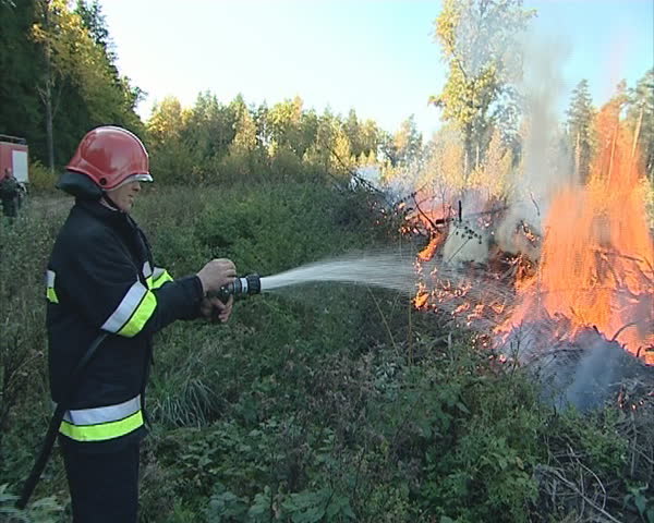 Uniformed firefighter with the hose in the hands fighting fire in the forest. 