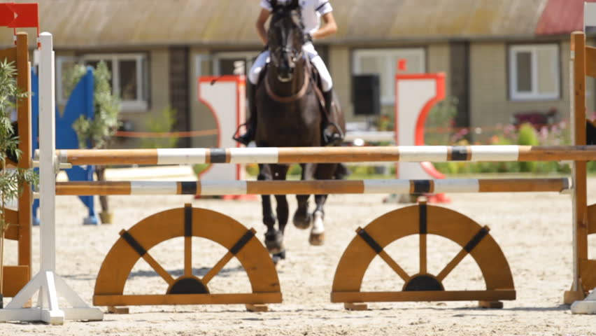 equestrian show jumping