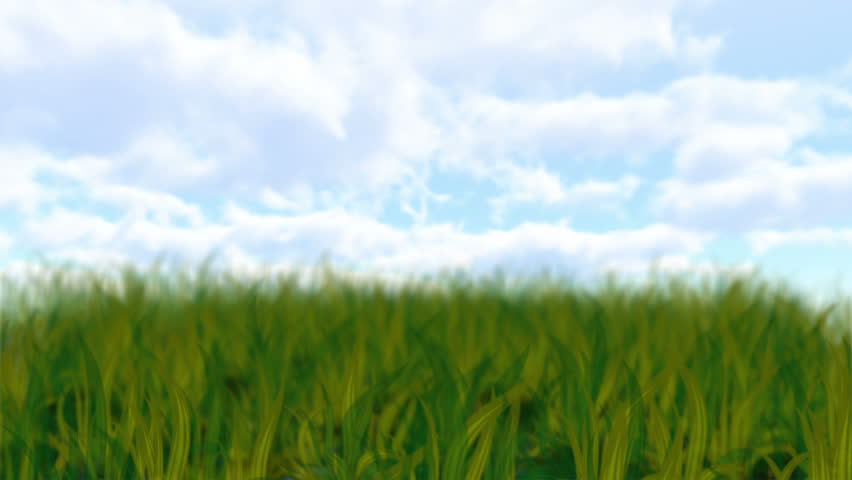 growing flowers and grass with alpha channel