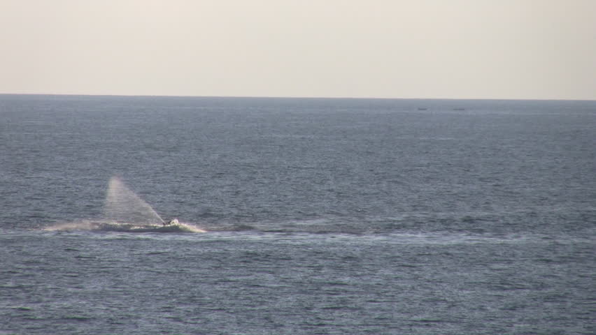 Jetbike on the sea 