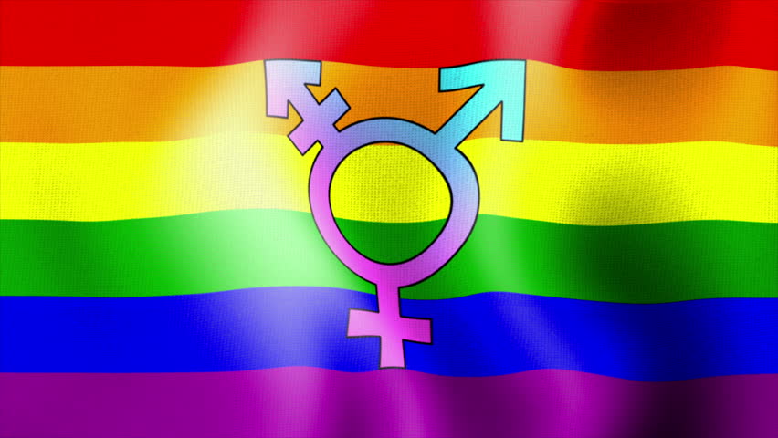 Rainbow Flag Series 1: A nice Rainbow Flag with a  nylon textur waving. It shows the transgender sign. 