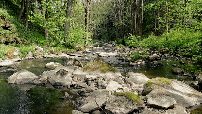 Small mountain river in summer