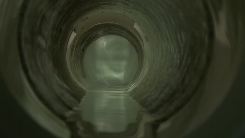 Python in Sewer