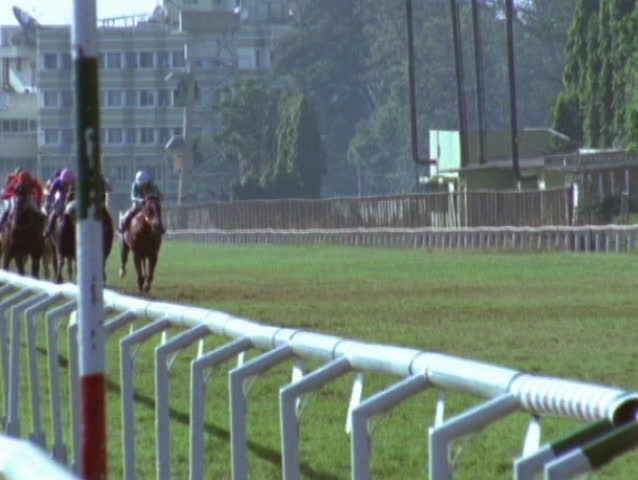 Jockeys and their horses compete on a grass track.