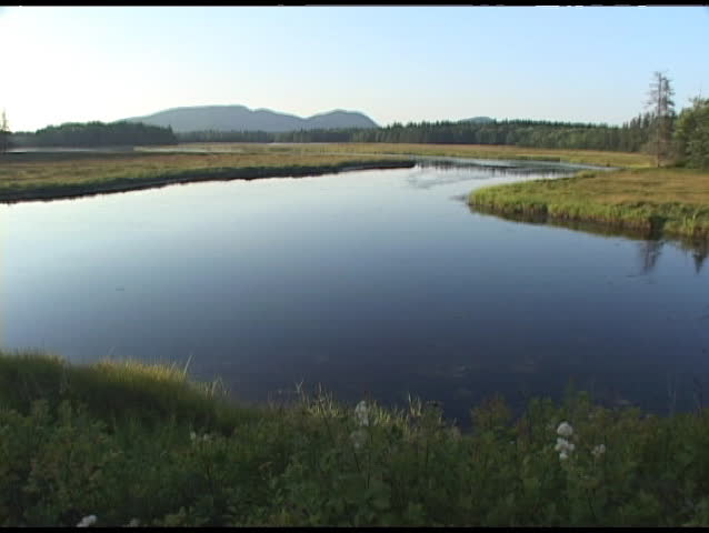 Long-shot of a lovely river as it flows through Acadia National Park, Maine.