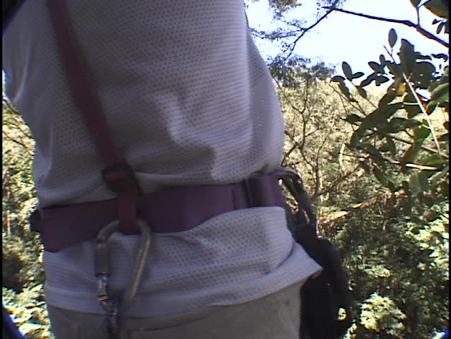 A woman jumps off of a platform and rappels on a zip-line into the jungle.