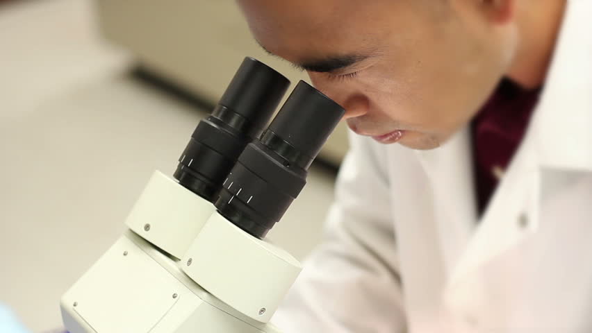 Asian researcher in a lab coat looks into a microscope and adjusts the eye piece.