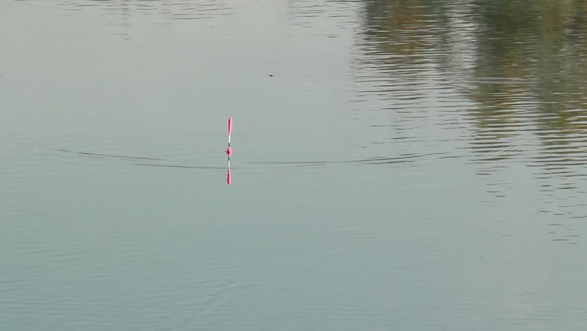A plunging float
