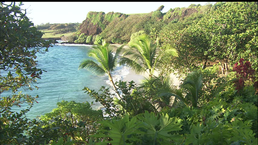 Untouched Tropical Cove With Waves and Jungle