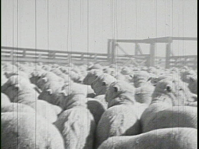 CALIFORNIA - CIRCA 1920 - Men and women work at a ranch in California in the 1920's.
