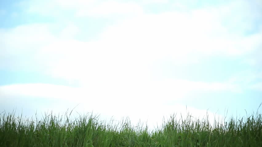 Farmer walking with vegetables basket; Full HD Photo JPEG