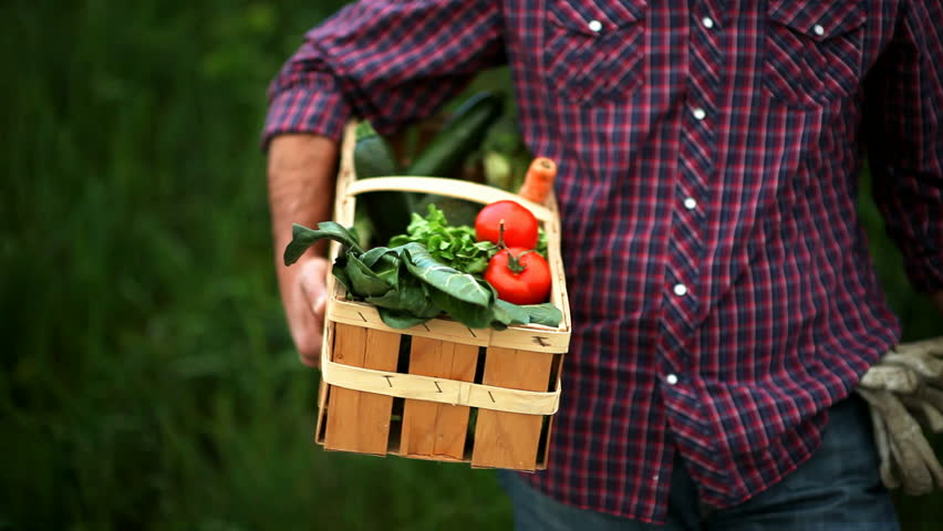 Portrait of a smiling farmer holding vegetables basket; Full HD Photo JPEG