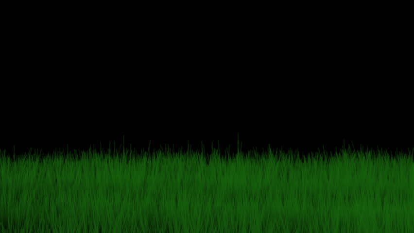 Grass 1 - with Alpha Channel