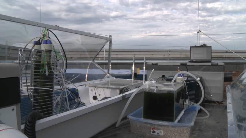 Dolly movement from one flat panel towards other test flasks at an outside experiment station where algae are grown under the sunlight in different flasks and containers.