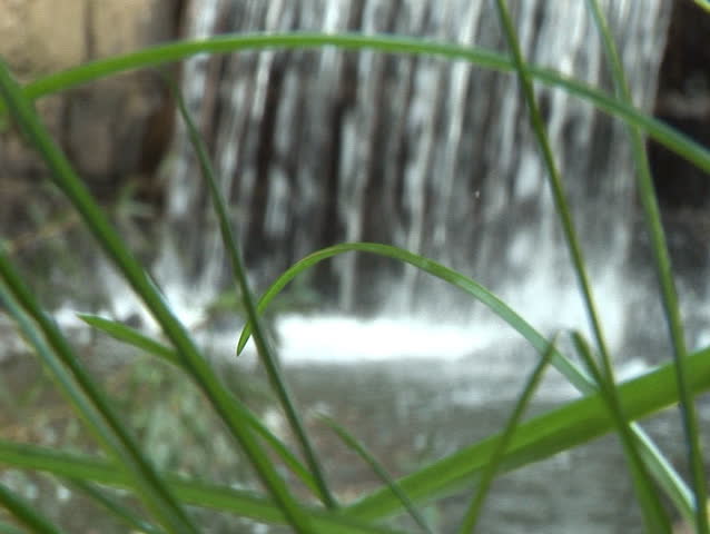 Focus Pull from Grass to Small waterfall