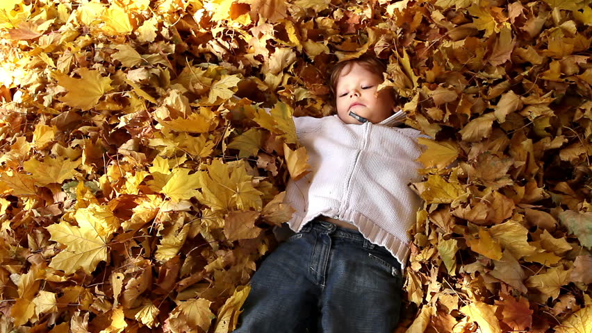The boy abruptly buried in autumn leaves