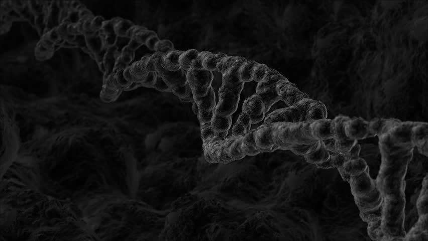 Three dimensional flight through animation of a DNA strand revolving