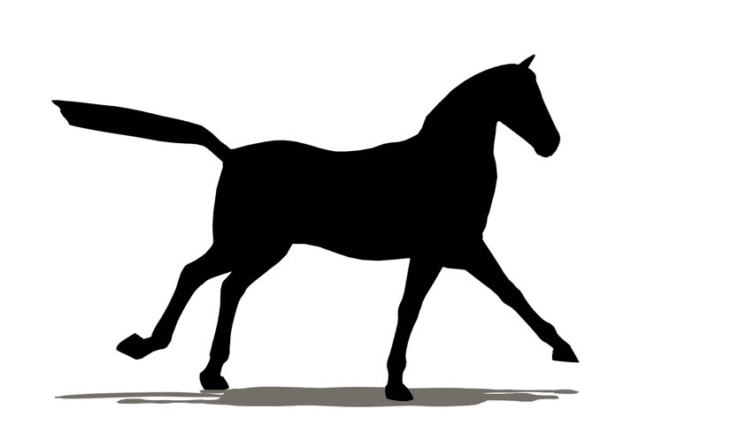 horse silhouette