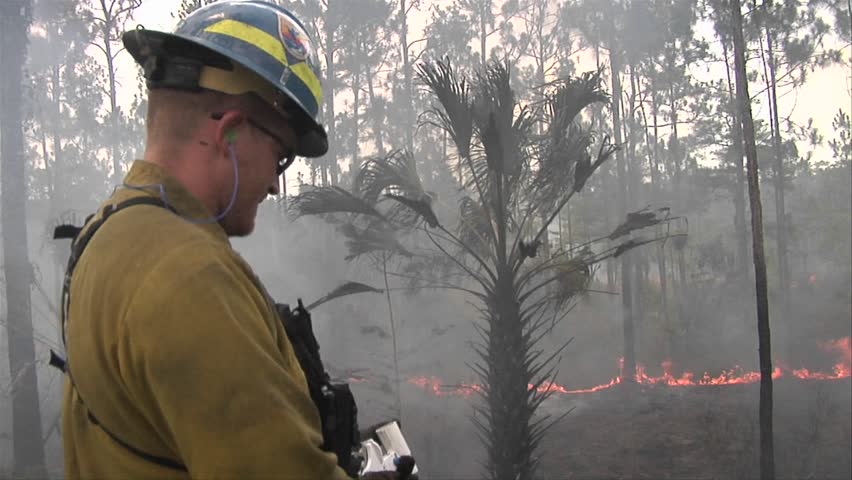 EVERGLADES, FL - CIRCA 2009: Firefighters fire a flare during a prescribed fire circa 2009 in the Everglades.
