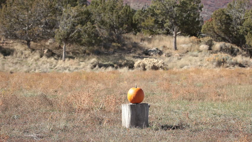 Orange Pumpkin violently explodes after being struck by a high power rifle slow motion. Complete vaporization in a cloud of parts. Halloween or harvest subject. 