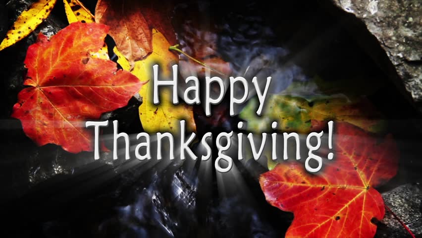 Seamless loop features stream and colorful fall leaves with text, "Happy Thanksgiving."