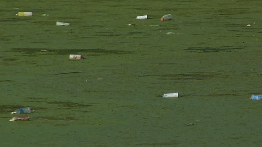Bottles float in a waterway full of algae