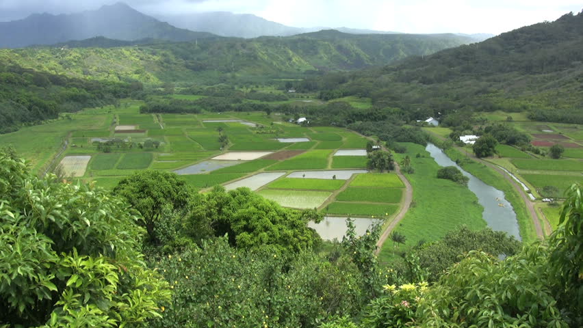 October 2011 - Hawaii - Fertile valley irrigated crops