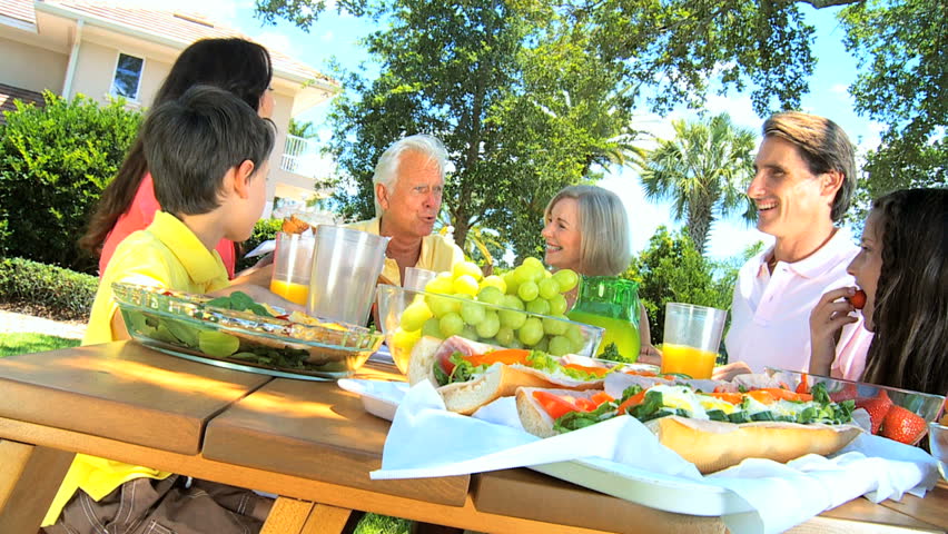 outdoor family picnic