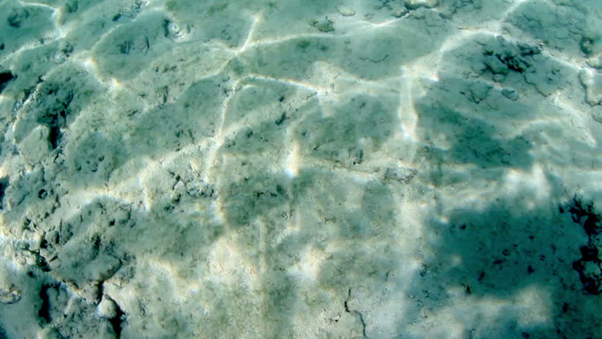 Sunlight reflecting on the seabed.