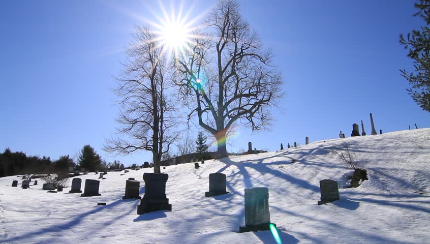 Bright sun shines through bare branches, casting shadows on snow-covered graveyard