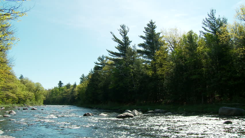 Rocky river in springtime forest